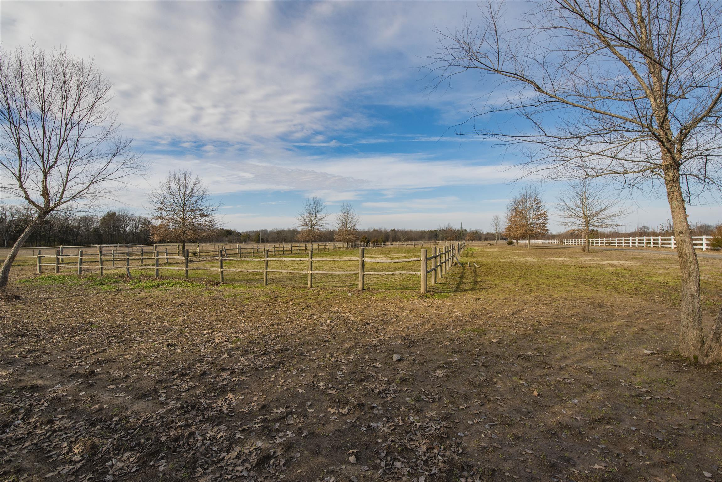 4936 Sledge Road Christiana, TN 37037 - Photo 20 of 30 What a gorgeous view of the front pasture that includes a 20x60 meter full sized riding arena.