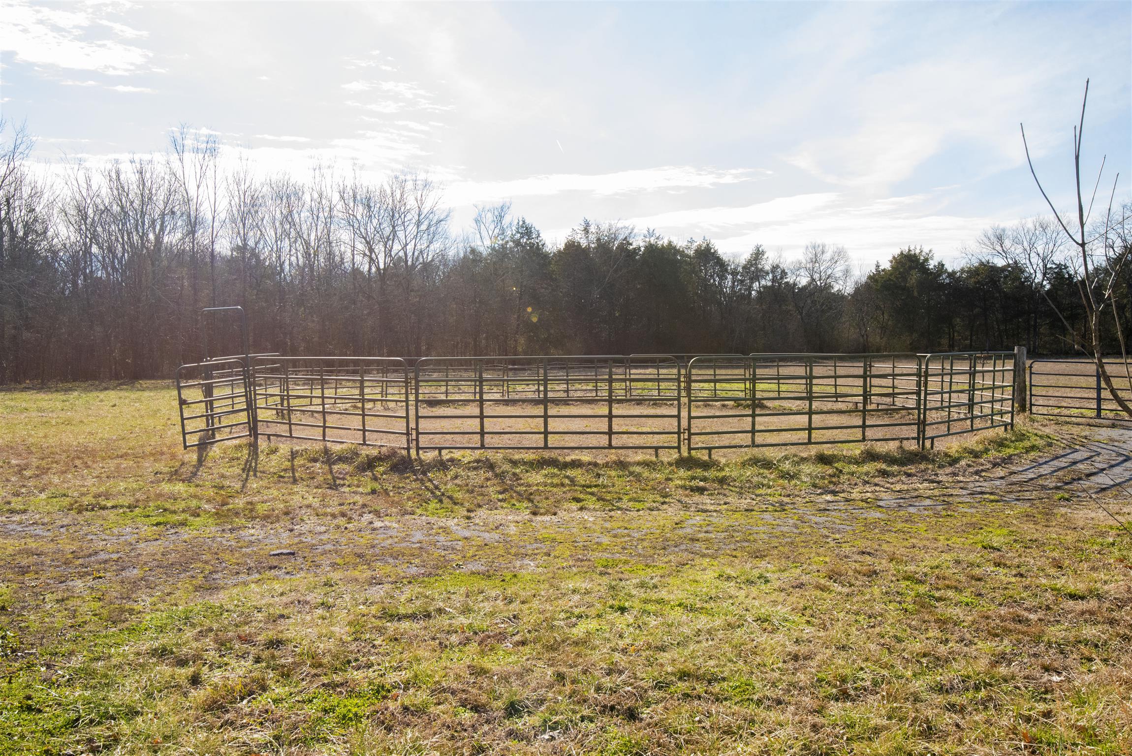 4936 Sledge Road Christiana, TN 37037 - Photo 21 of 30 15 meter round pen with improved footing.