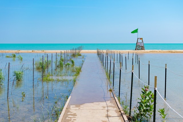 6007 North Sheridan Road, Unit 17DF Chicago, IL 60660 - Photo 17 of 20 a terrace view with a garden space