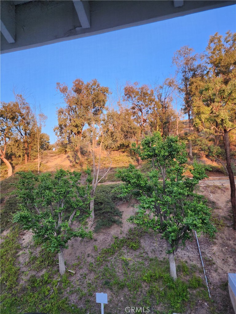 20334 Rue Crevier, Unit 622 Canyon Country, CA 91351 - Photo 15 of 22 a view of a yard with a tree