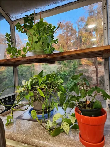 a vase of flowers sitting on a table