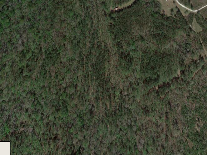 0 Waymaker Lane Ridgeville, SC 29472 - Photo 3 of 3 Screenshot 2017-08-25 at 8.36.49 PM
