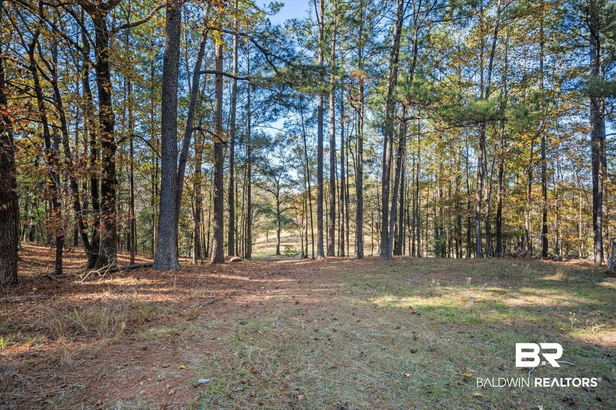 15801 Maytower Road Bay Minette, AL 36507 - Photo 42 of 43 View of landscape