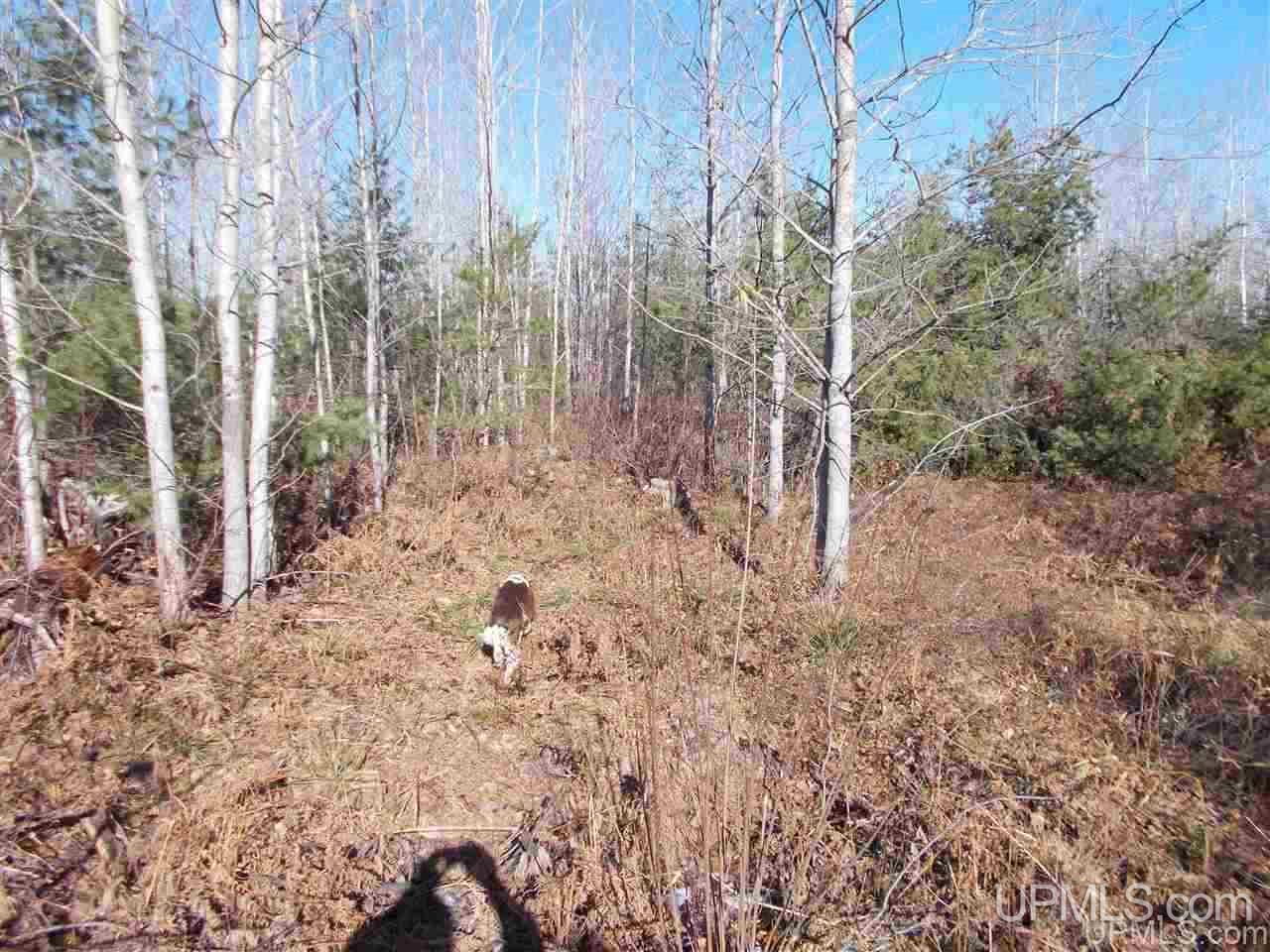 74-acres 74-acres Off Co Road Negaunee, MI 49866 - Photo 1 of 17
