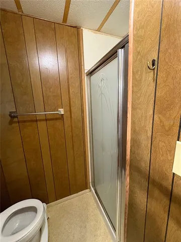 a bathroom with a shower and toilet