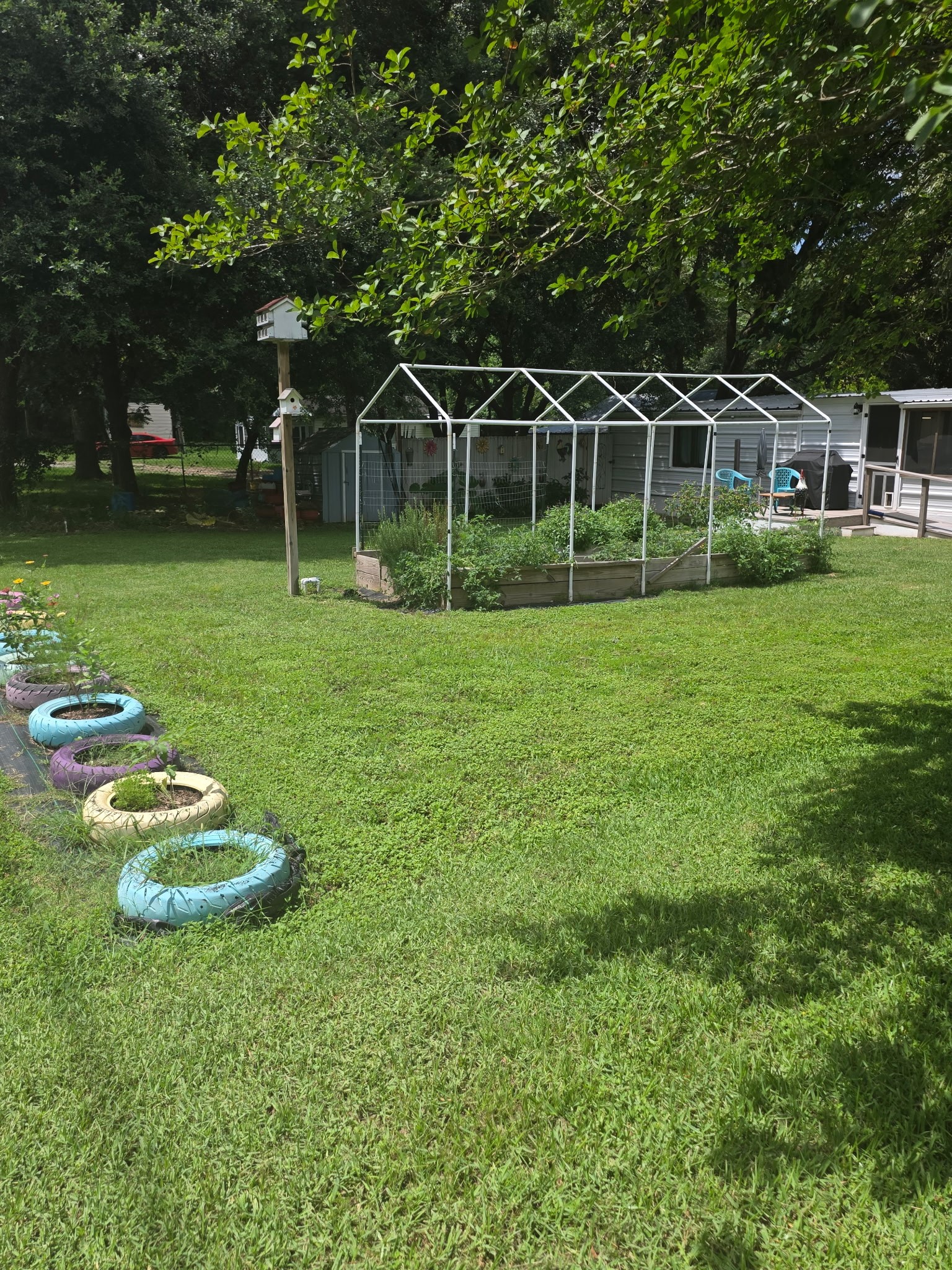 11 Pine Road Coldspring, TX 77331 - Photo 5 of 32 a view of a house with backyard