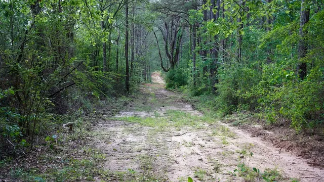 $1,080,000 | 0 South Bean Road, Osyka, MS 39657