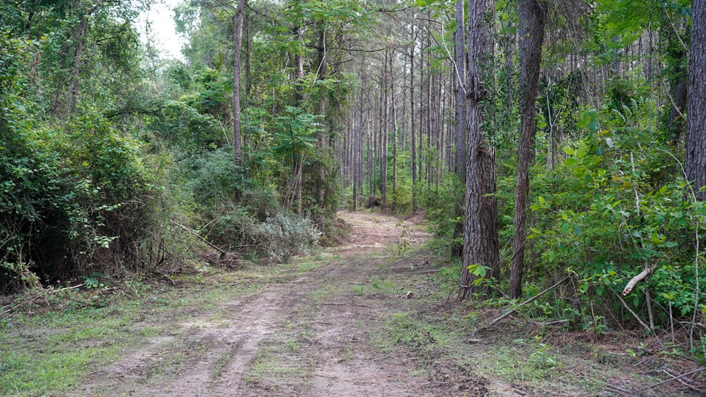0 South Bean Road Osyka, MS 39657 - Photo 13 of 48 Photo 13