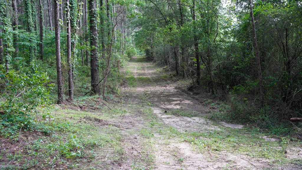 0 South Bean Road Osyka, MS 39657 - Photo 17 of 48 Photo 17