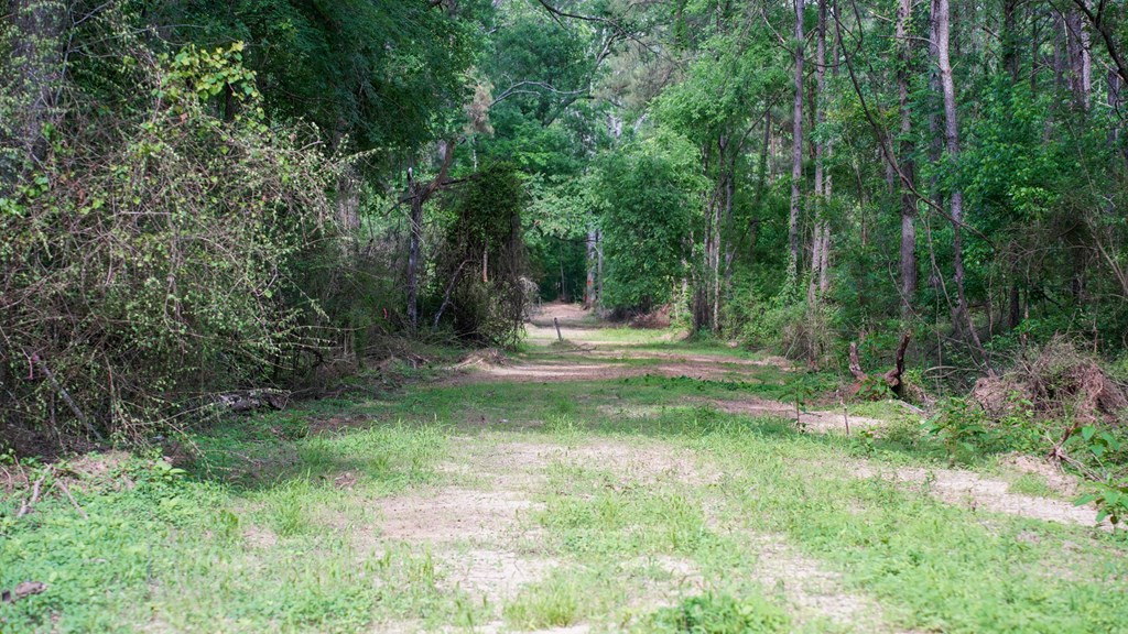 0 South Bean Road Osyka, MS 39657 - Photo 23 of 48 Photo 23