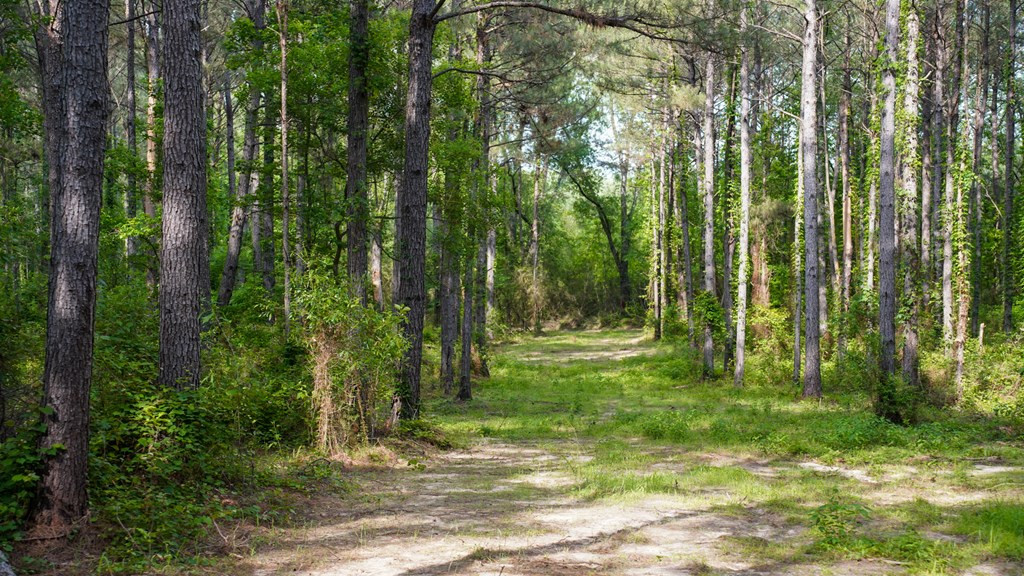 0 South Bean Road Osyka, MS 39657 - Photo 25 of 48 Photo 25
