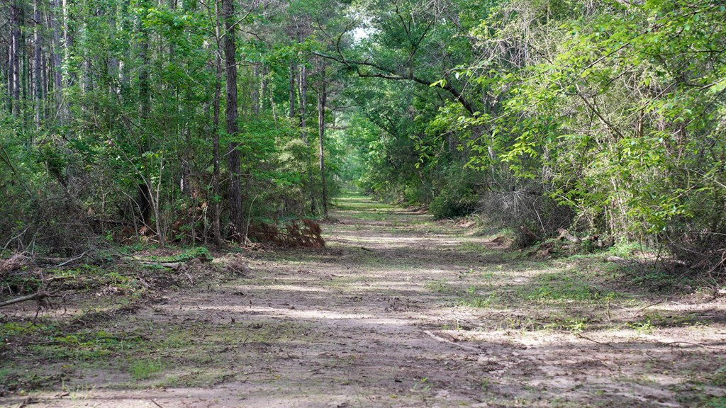 0 South Bean Road Osyka, MS 39657 - Photo 26 of 48 Photo 26