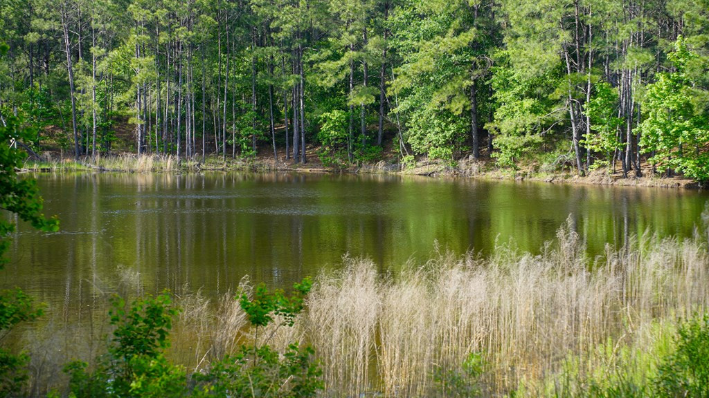 0 South Bean Road Osyka, MS 39657 - Photo 29 of 48 Photo 29