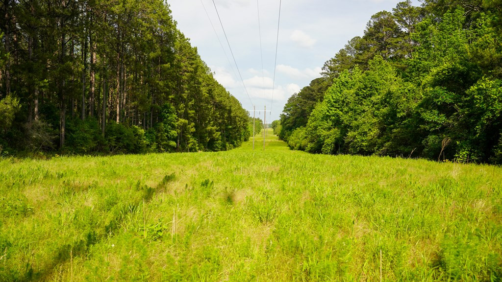0 South Bean Road Osyka, MS 39657 - Photo 30 of 48 Photo 30