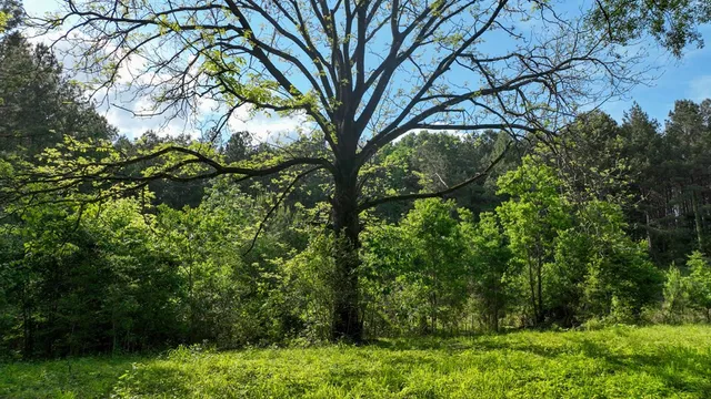 $1,080,000 | 0 South Bean Road, Osyka, MS 39657