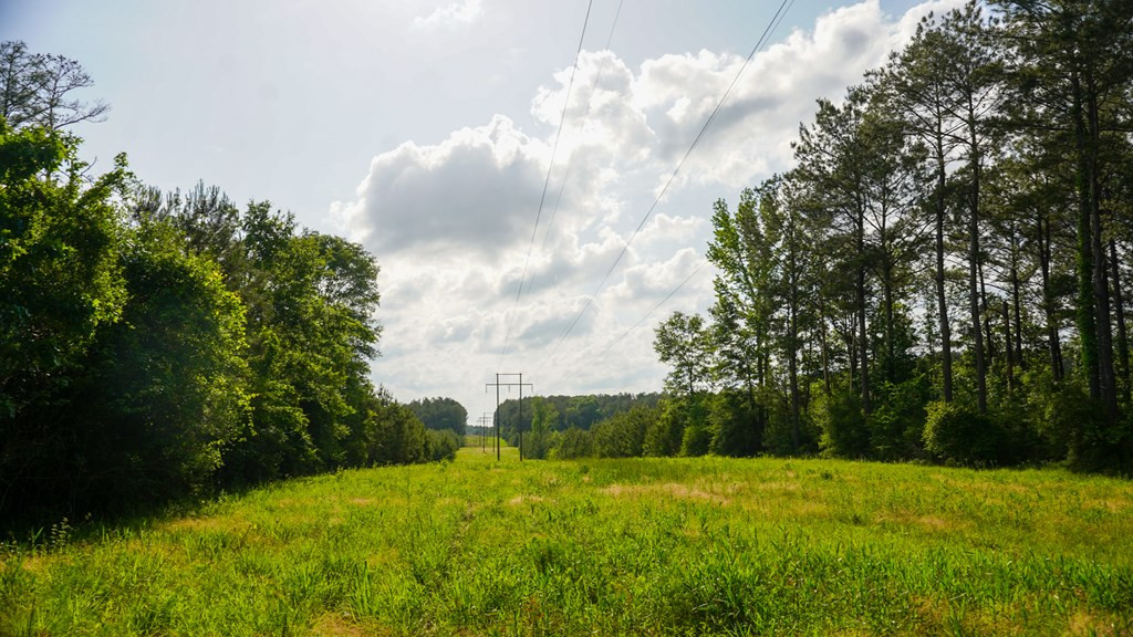0 South Bean Road Osyka, MS 39657 - Photo 31 of 48 Photo 31