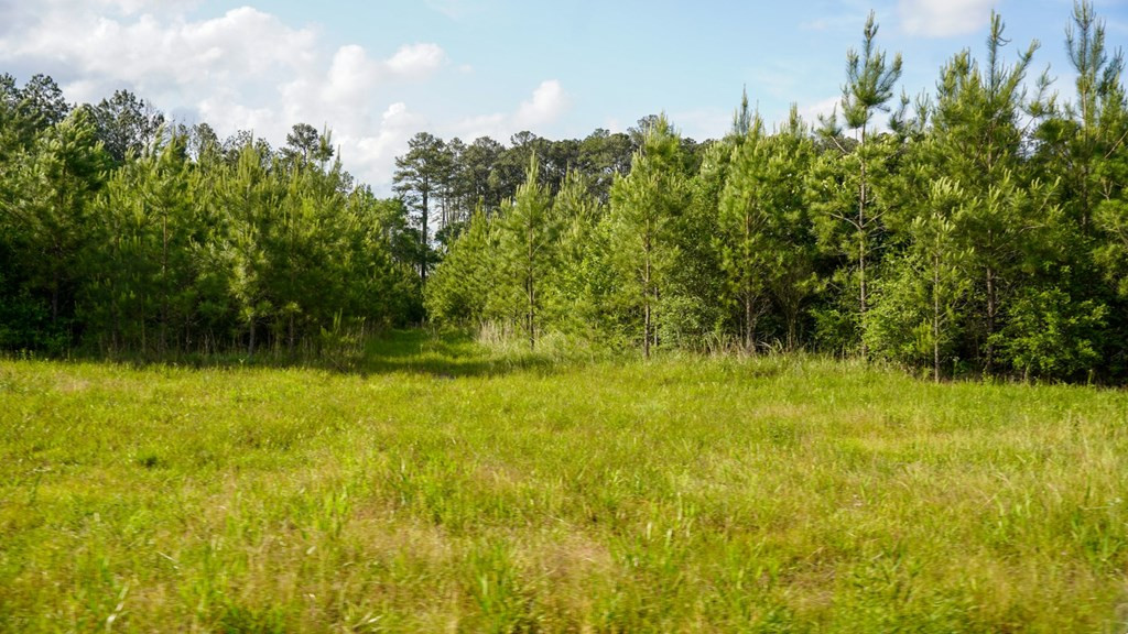 0 South Bean Road Osyka, MS 39657 - Photo 32 of 48 Photo 32