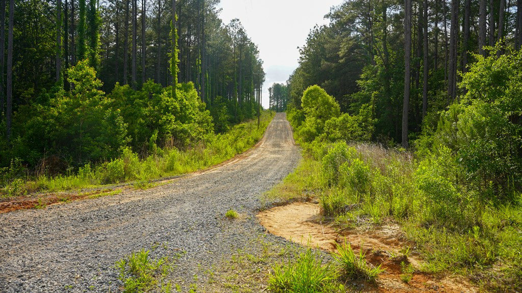 0 South Bean Road Osyka, MS 39657 - Photo 34 of 48 Photo 34