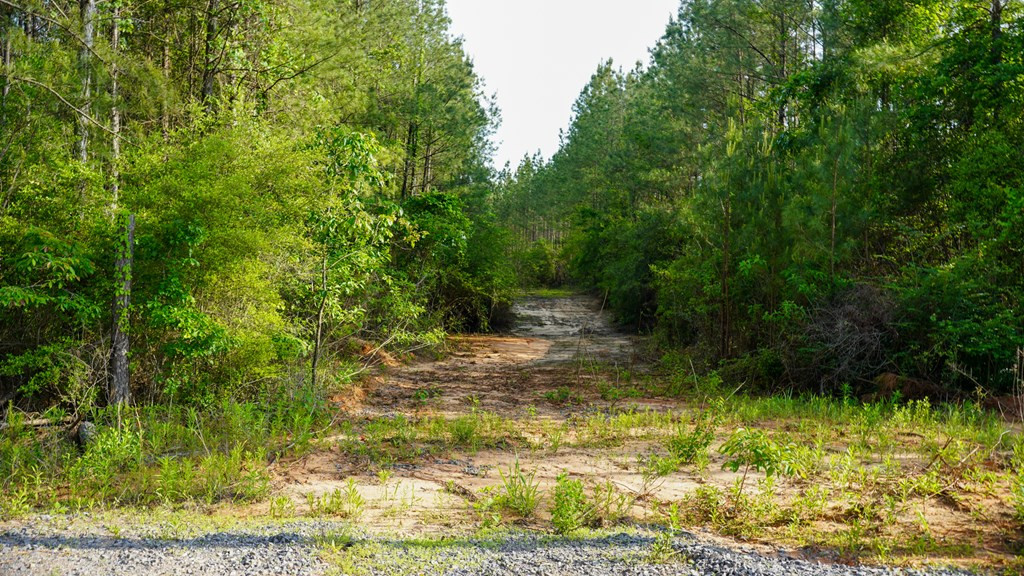 0 South Bean Road Osyka, MS 39657 - Photo 36 of 48 Photo 36
