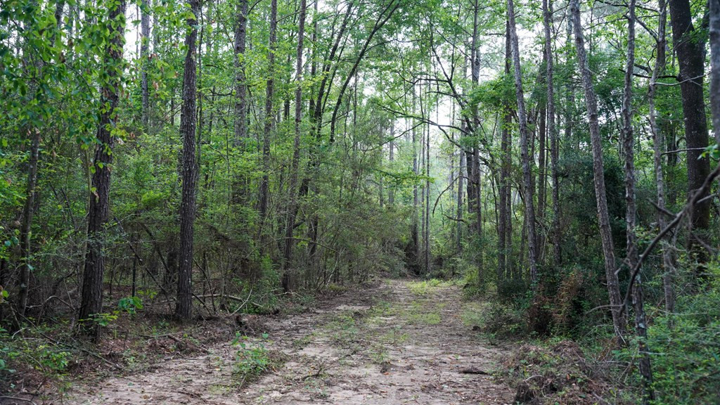 0 South Bean Road Osyka, MS 39657 - Photo 44 of 48 Photo 44