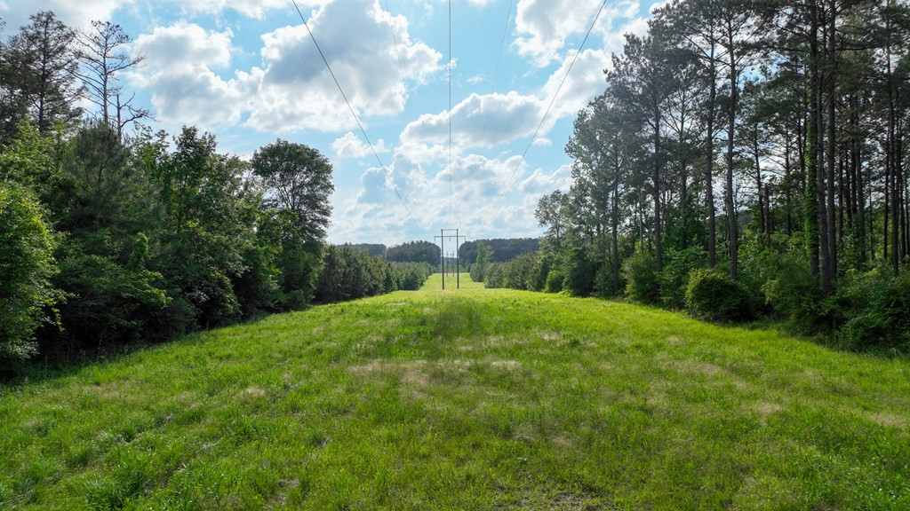 0 South Bean Road Osyka, MS 39657 - Photo 6 of 48 Photo 6
