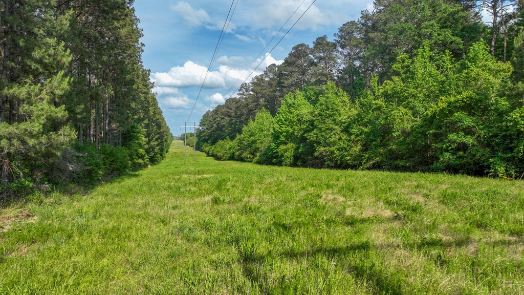 0 South Bean Road Osyka, MS 39657 - Photo 8 of 48 Photo 8