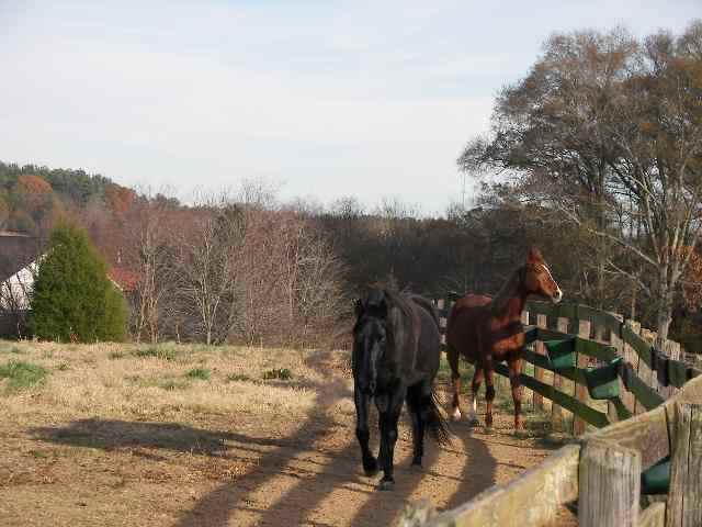 Lot 19 Omega Farms Anderson, SC 29621 - Photo 3 of 4