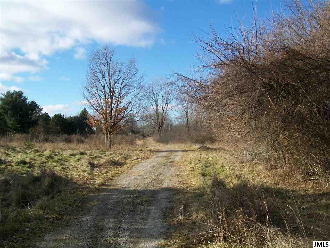 4335 Blackman Road Jackson, MI 49201 - Photo 6 of 8 Photo 7