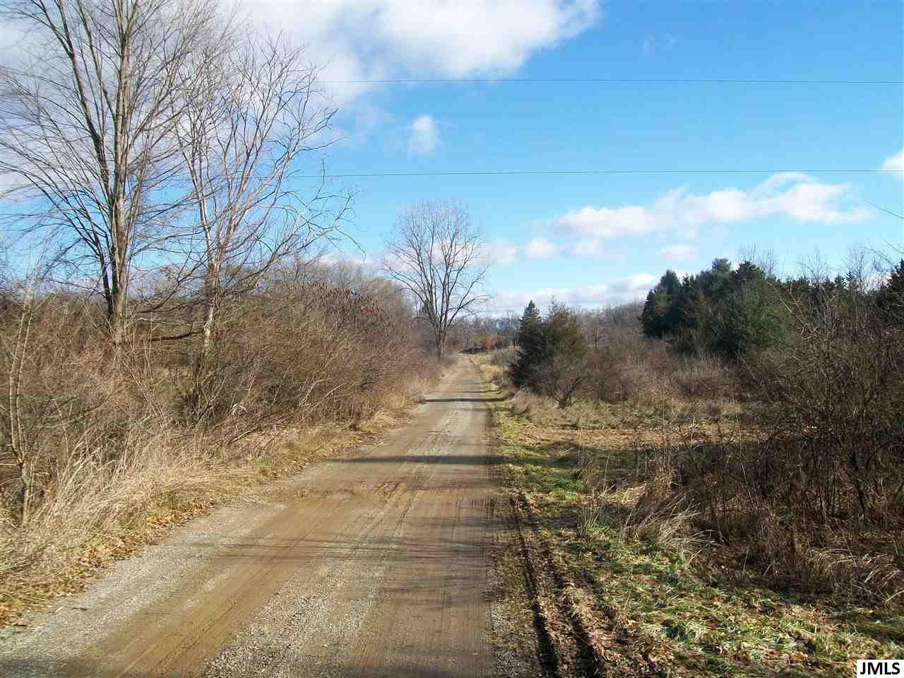 4335 Blackman Road Jackson, MI 49201 - Photo 7 of 8 Photo 8