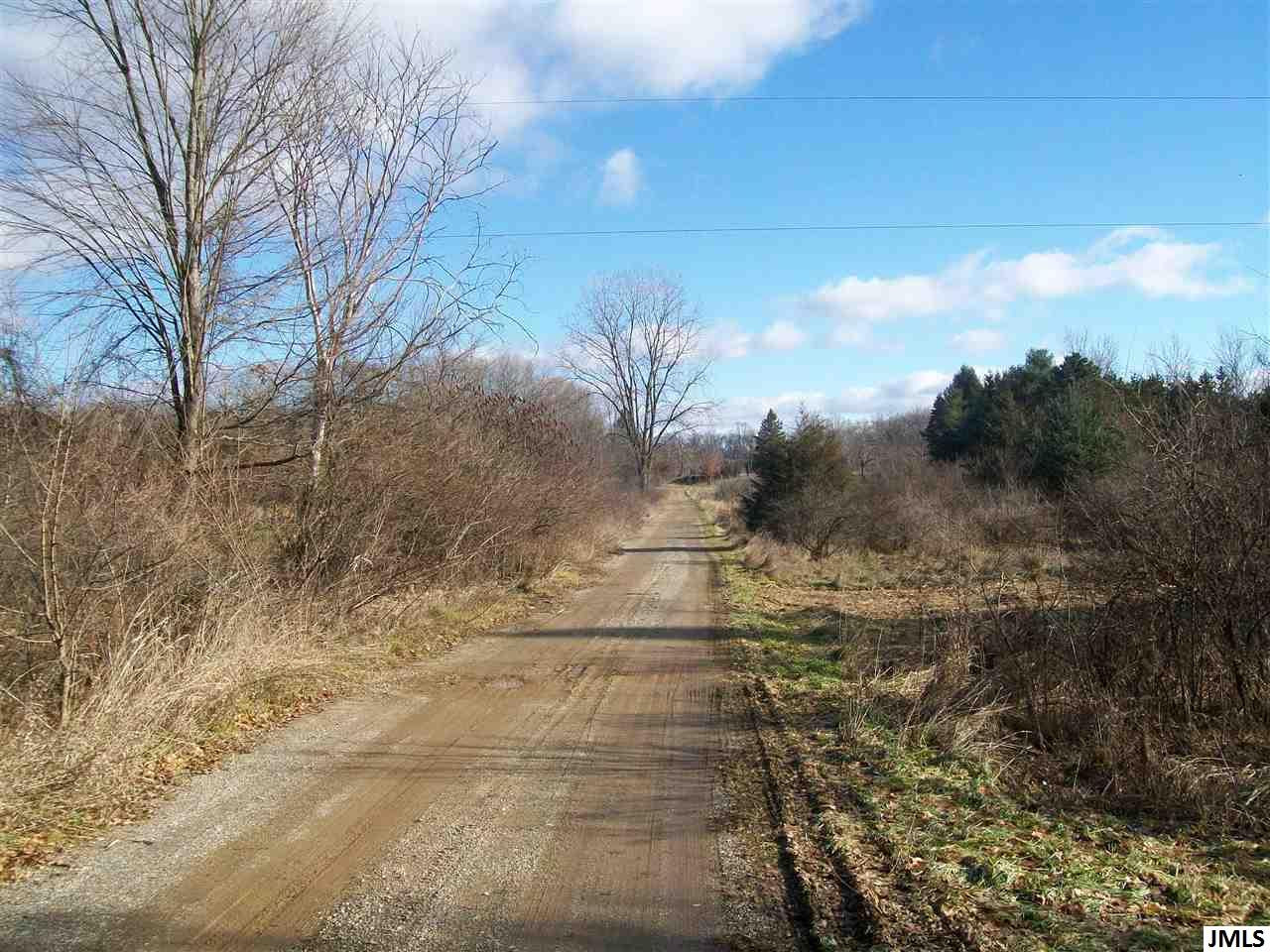 4335 Blackman Road Jackson, MI 49201 - Photo 8 of 8 Photo 9
