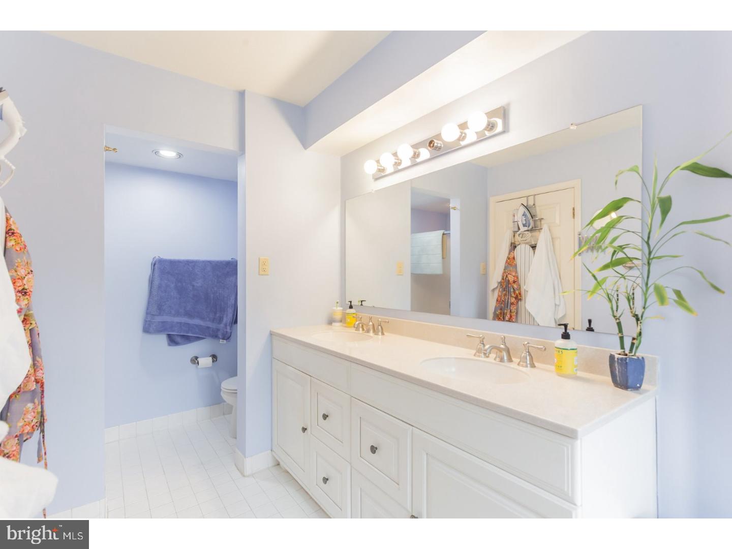 9 Wellfleet Lane Chesterbrook, PA 19087 - Photo 18 of 25 Master Bathroom