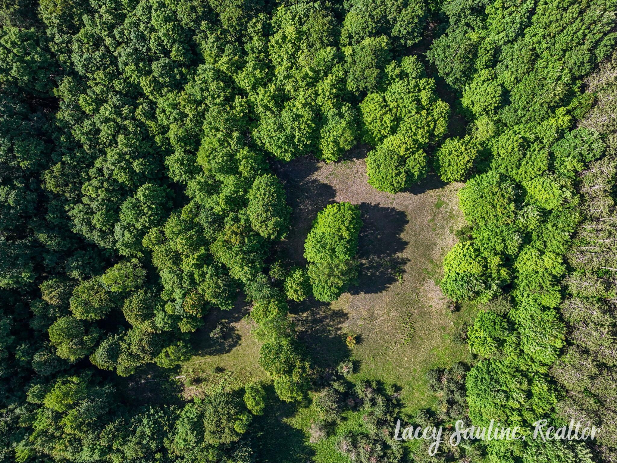 West Finkle Road Cadillac, MI 49601 - Photo 9 of 21 10