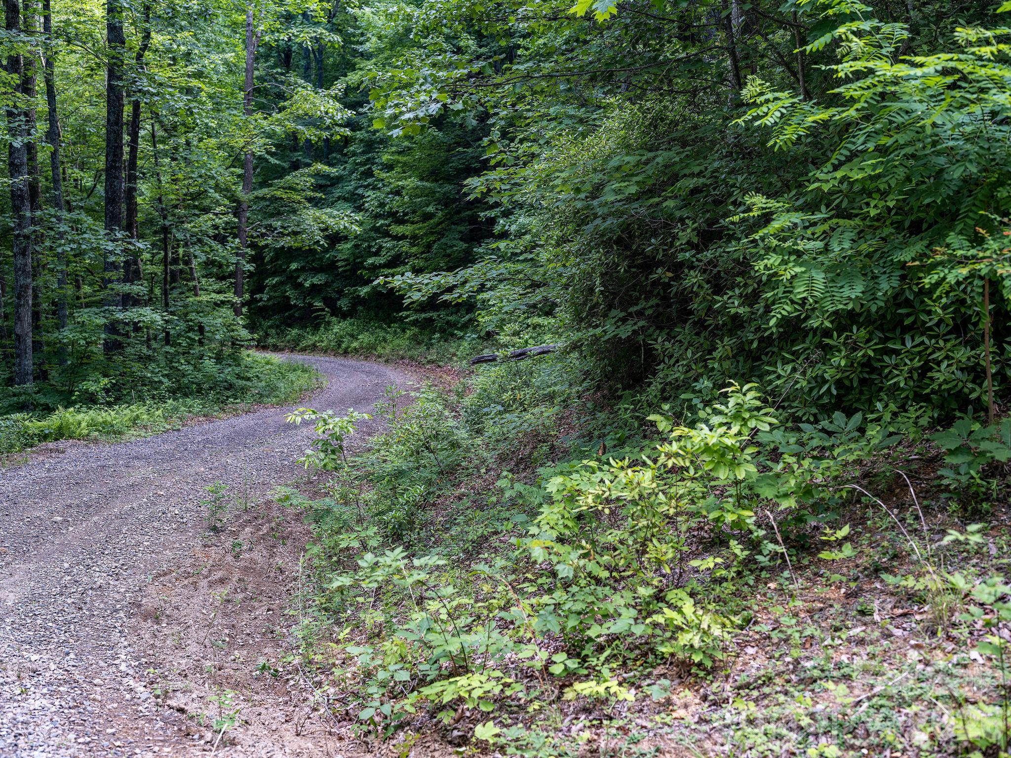 8 Carls Cove Road Hendersonville, NC 28792 - Photo 14 of 25