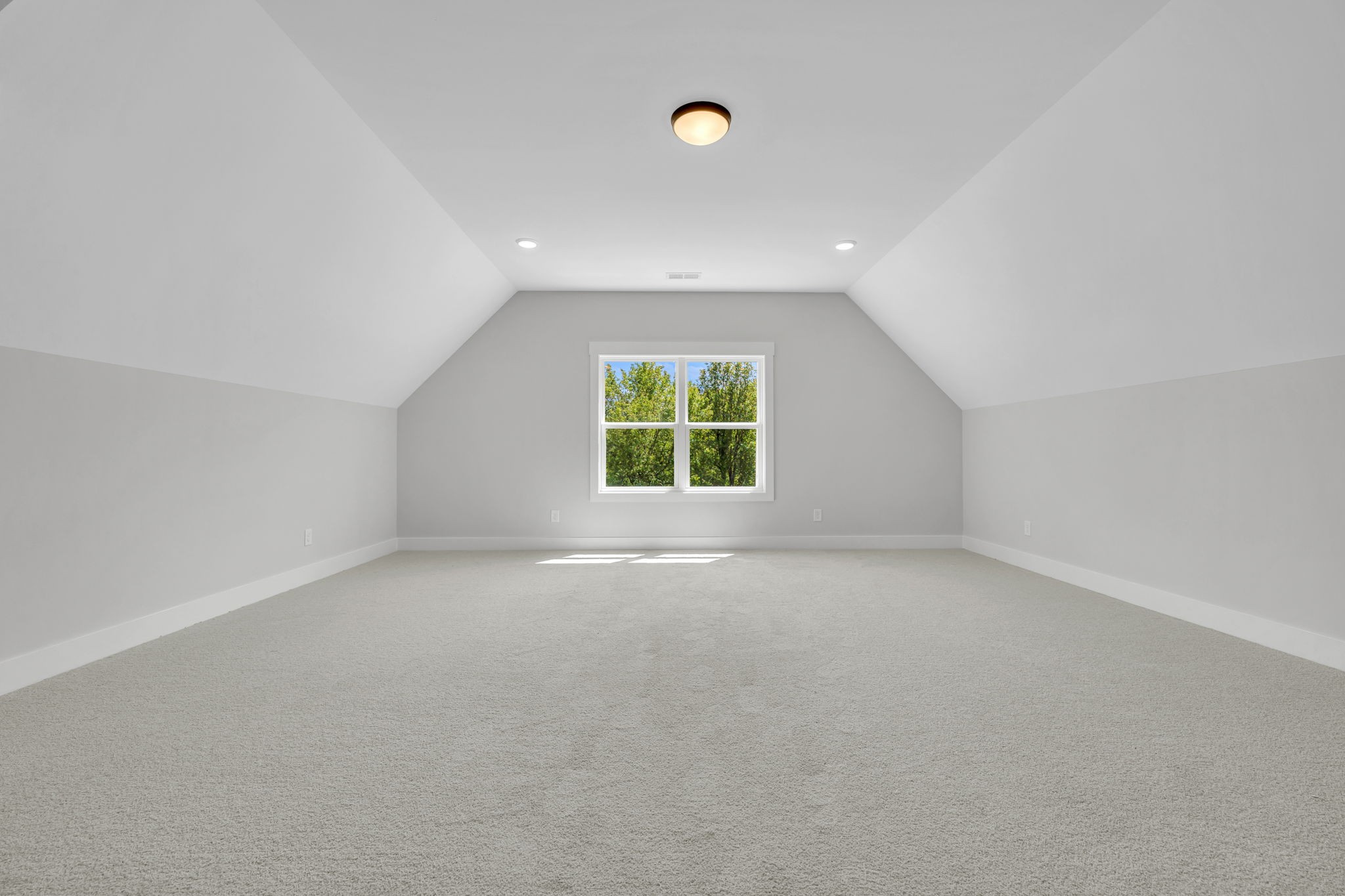 720 Rankin Road Castalian Springs, TN 37031 - Photo 45 of 60 Gallery Image 45