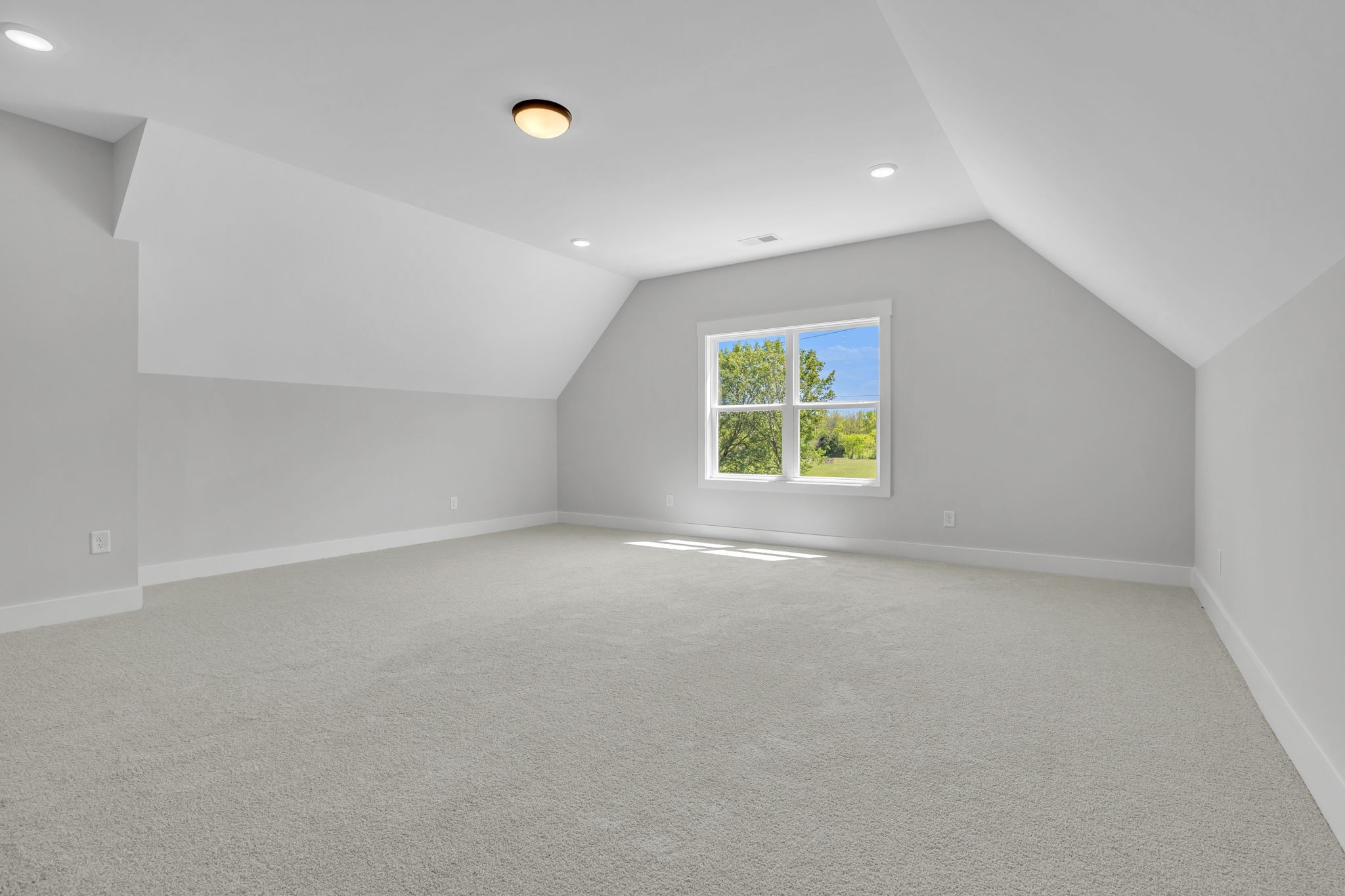 720 Rankin Road Castalian Springs, TN 37031 - Photo 46 of 60 Gallery Image 46