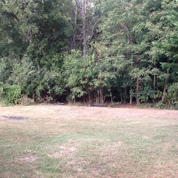 108 Maple Street Limestone, TN 37681 - Photo 29 of 34 Gallery Image 29