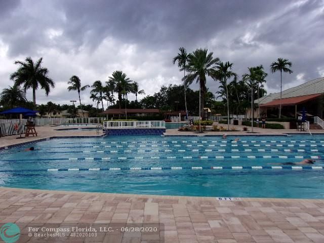 1564 Sunset Way Weston, FL 33327 - Photo 23 of 40 a palm tree sitting in front of a yard