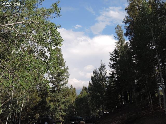 52 Ridge Circle Divide, CO 80814 - Photo 3 of 8