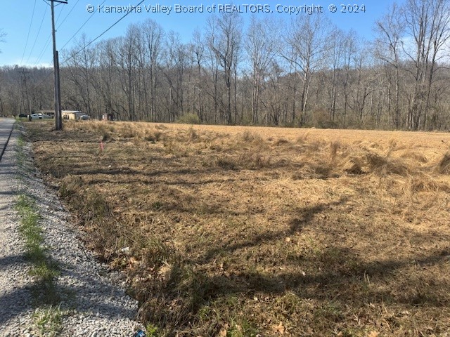 Parcel B Roach Road Salt Rock, WV 25559 - Photo 3 of 11 Gallery Image 3