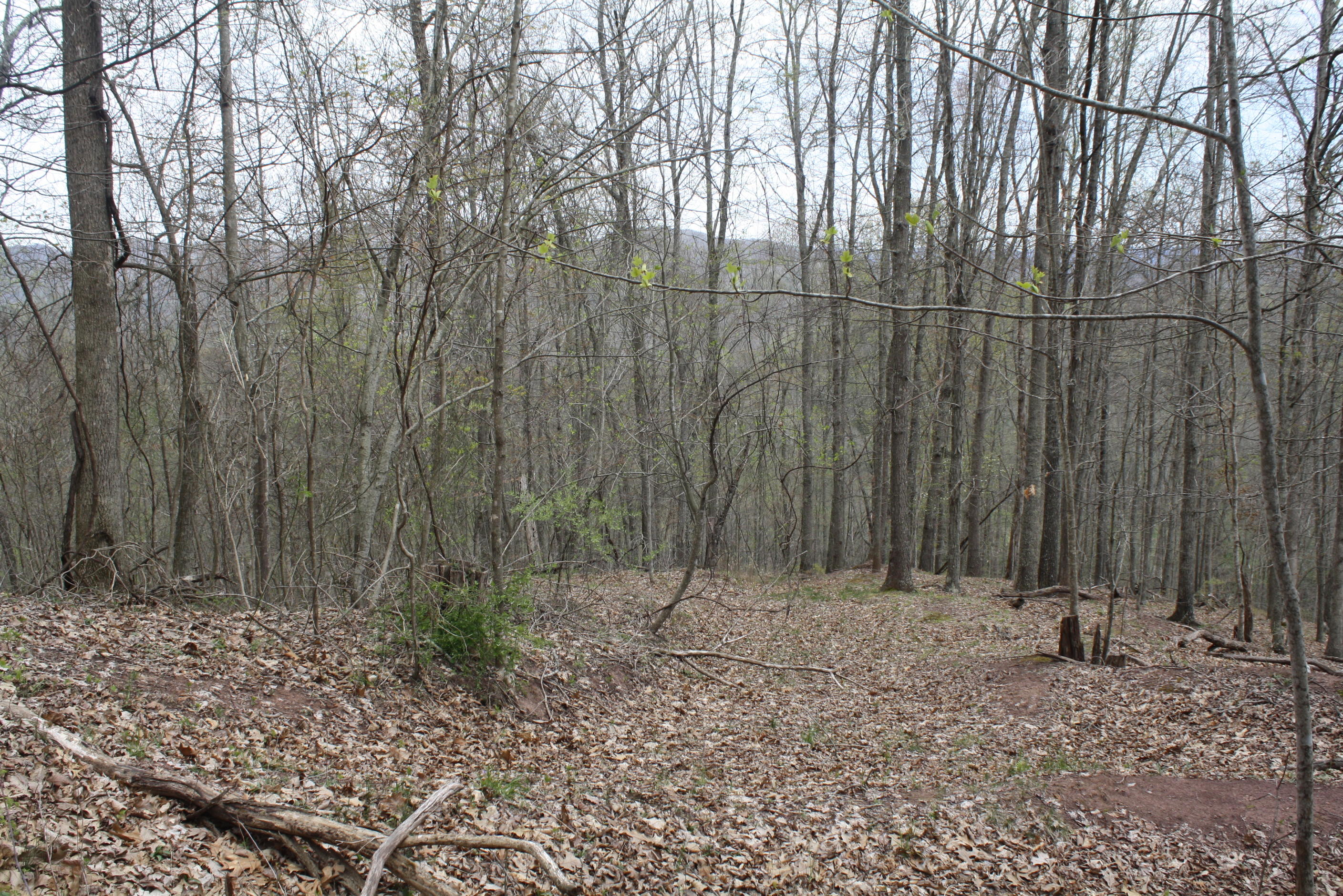 722 East Woodrumtown Road Hinton, WV 25951 - Photo 133 of 145 Gallery Image 133