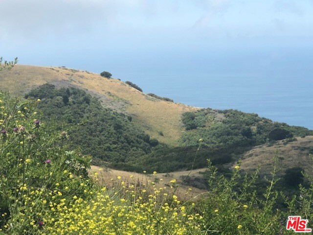 24810 Piuma Road Malibu, CA 90265 - Photo 21 of 25 Gallery Image 21