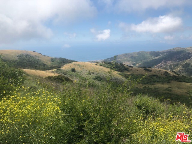 24810 Piuma Road Malibu, CA 90265 - Photo 24 of 25 Gallery Image 24