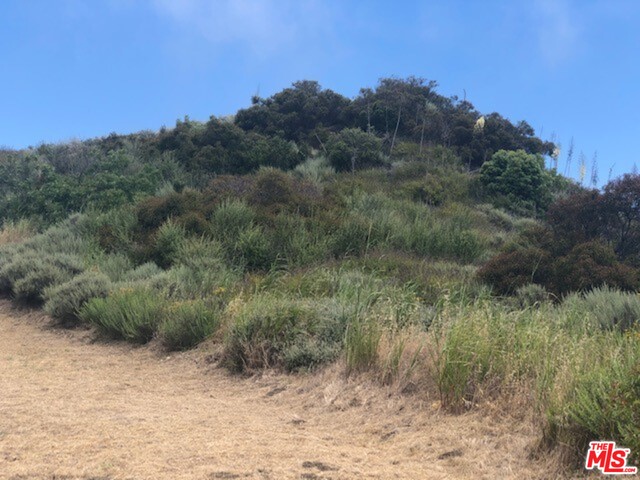 24810 Piuma Road Malibu, CA 90265 - Photo 10 of 25 Gallery Image 10