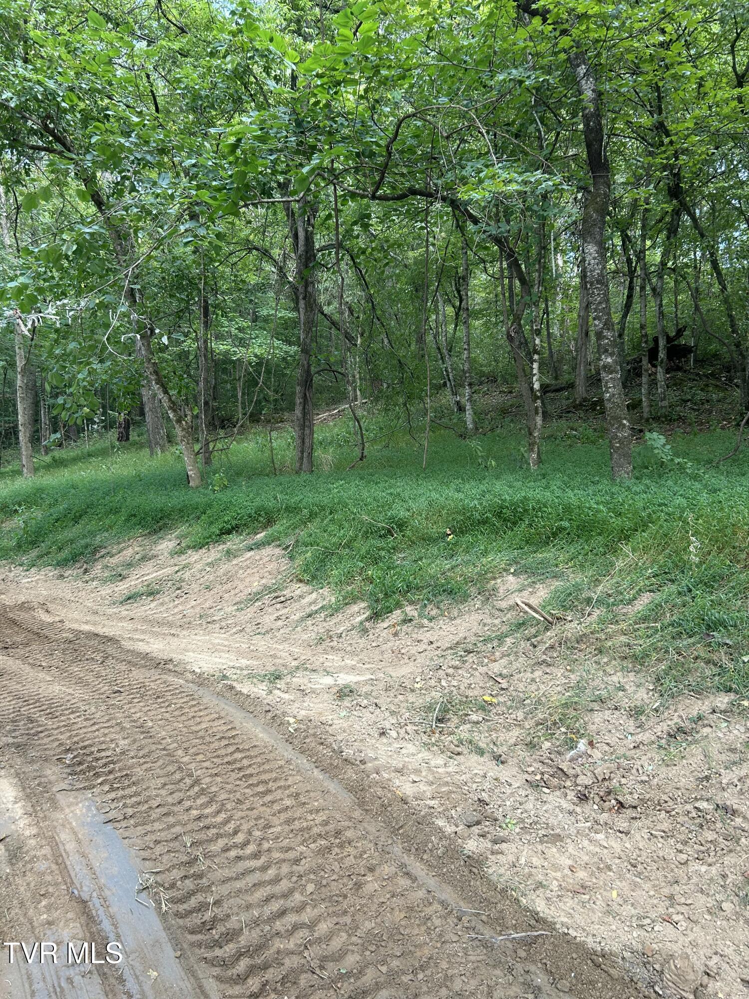 1633 Poplar Springs Road, Unit 6 Greeneville, TN 37743 - Photo 2 of 43 BD388F23-CCFC-4803-9A78-982C54437883