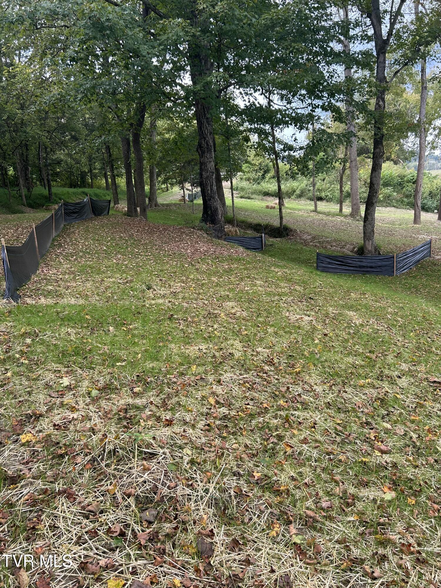 1633 Poplar Springs Road, Unit 6 Greeneville, TN 37743 - Photo 24 of 43 E5512F28-5988-45BD-8F61-425527D7413F