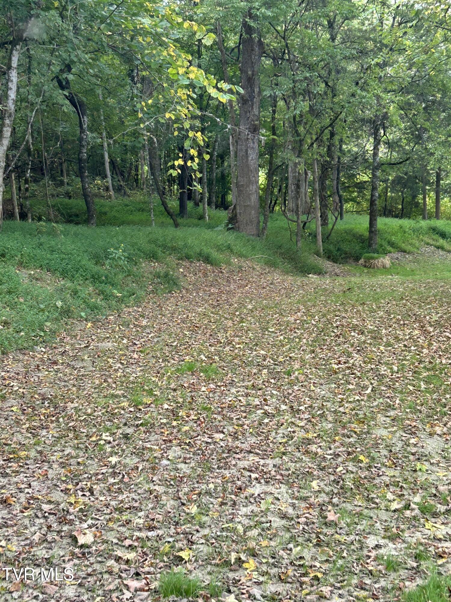 1633 Poplar Springs Road, Unit 6 Greeneville, TN 37743 - Photo 30 of 43 3836B402-0F55-4277-A03F-A1FD446FCB96