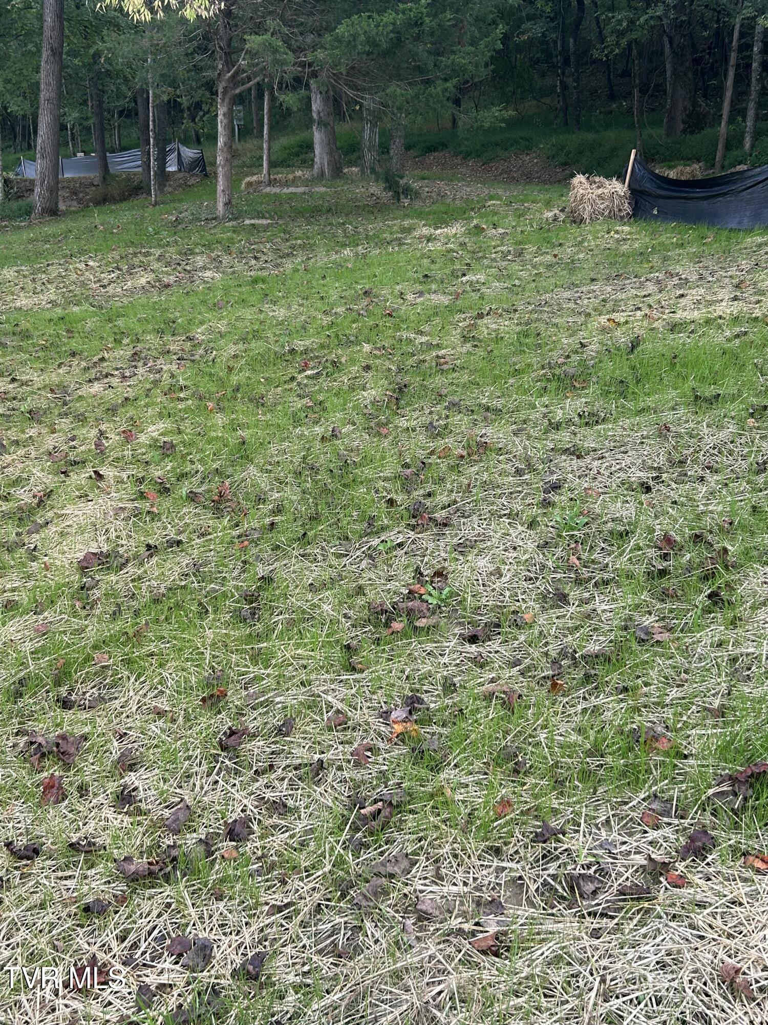 1633 Poplar Springs Road, Unit 6 Greeneville, TN 37743 - Photo 39 of 43 87185492-65C5-446A-AED4-BAAB84024EFE