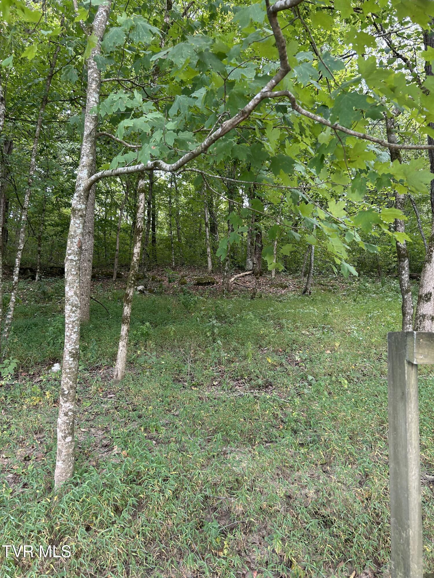 1633 Poplar Springs Road, Unit 6 Greeneville, TN 37743 - Photo 4 of 43 56CE3CD8-5454-4652-A847-EFEA171B3FB6