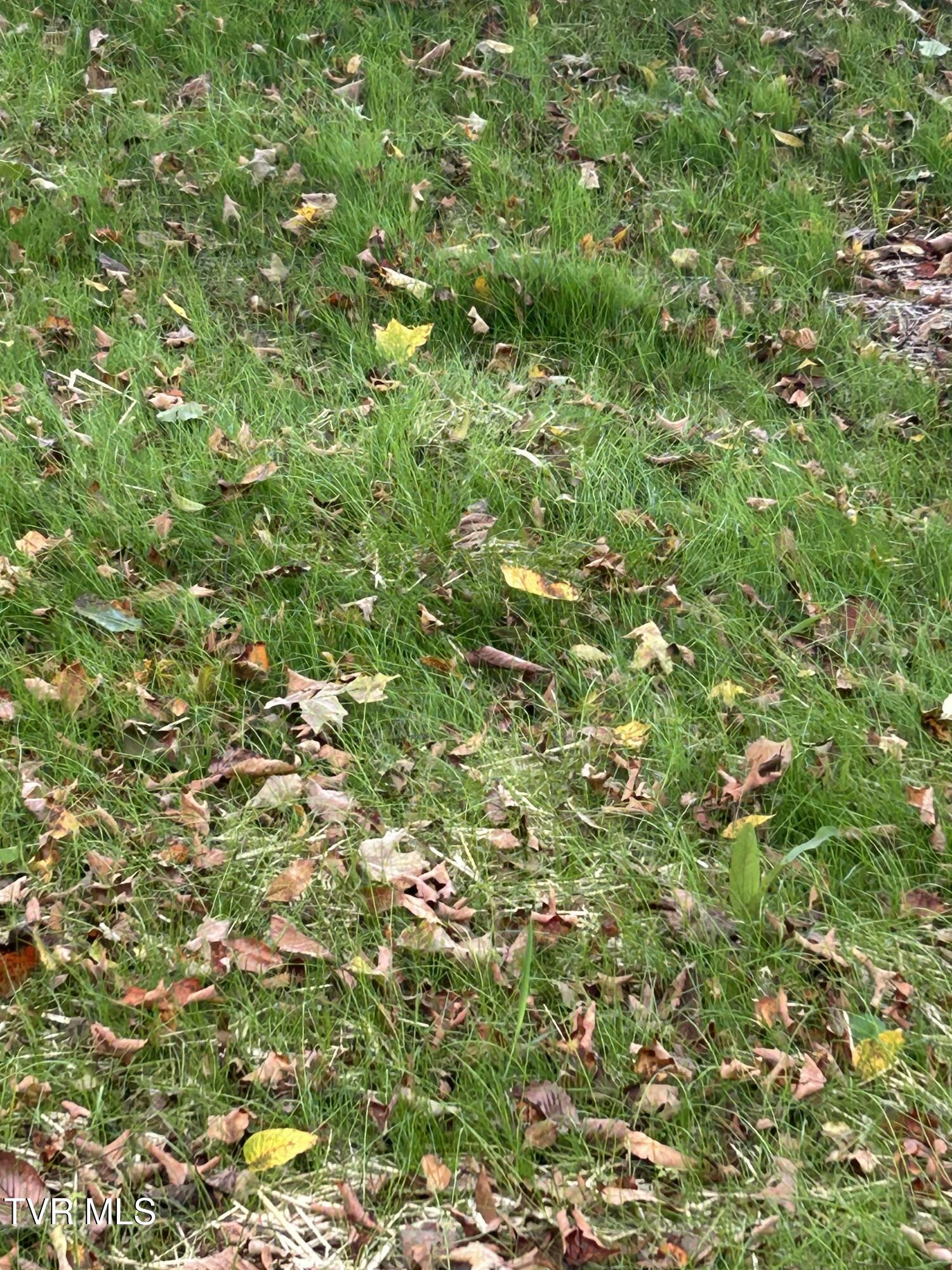 1633 Poplar Springs Road, Unit 6 Greeneville, TN 37743 - Photo 43 of 43 B42E045F-3165-4DC9-A6E9-E4774981F23B