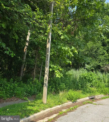 a view of a road with a tree